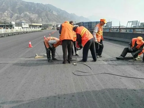 卢龙道路桥梁病害治理